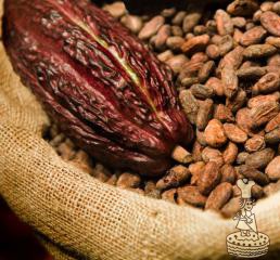 cacao